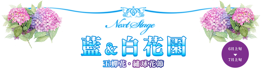 藍＆白花園 玉蟬花・繡球花節