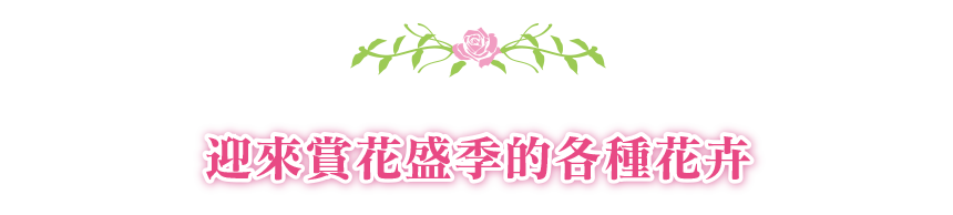 Flowers to watch now