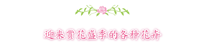 Flowers to watch now