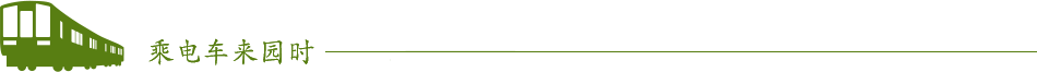 乘电车来园时