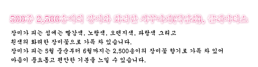 500種2,500株玫瑰和色澤鮮豔的石楠花、鐵線蓮