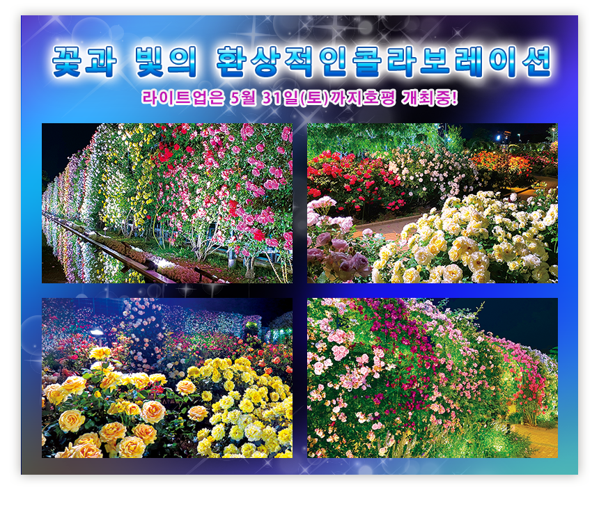 燈光和花卉交織出的夢幻世界