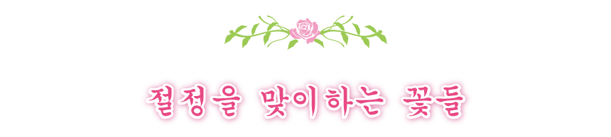 Flowers to watch now