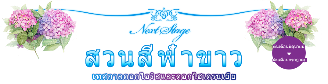 เทศกาลดอกไอริสและดอกไฮเดรนเยีย