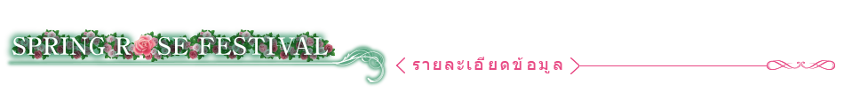 เทศกาลดอกกุหลาบฤดูใบไม้ผลิ 〈รายละเอียดข้อมูล〉