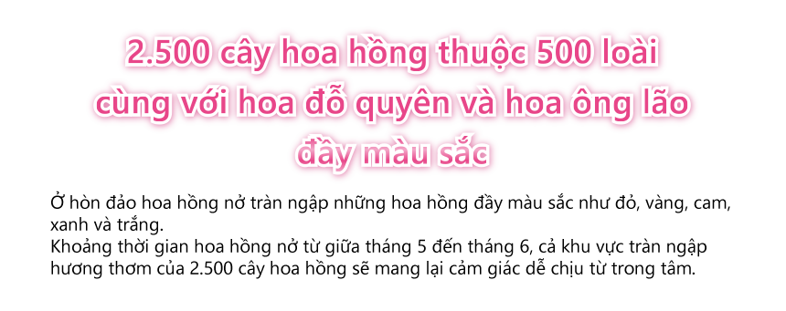 500 species and 2,500 plants of roses and beautiful rhododendrons and clematis