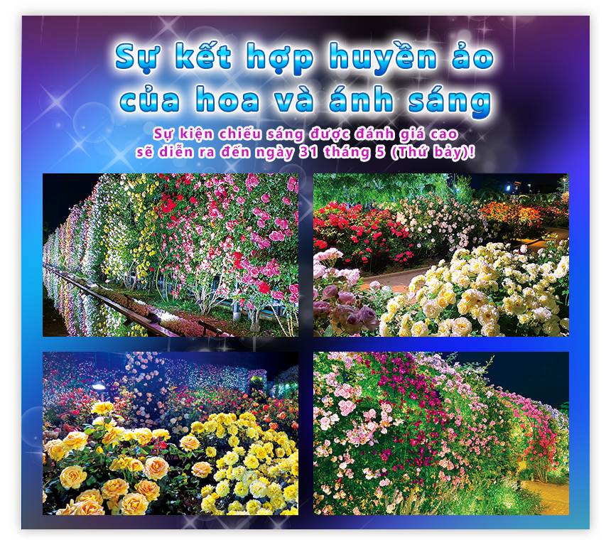 Fantastic Collaboration of Flowers and Lights