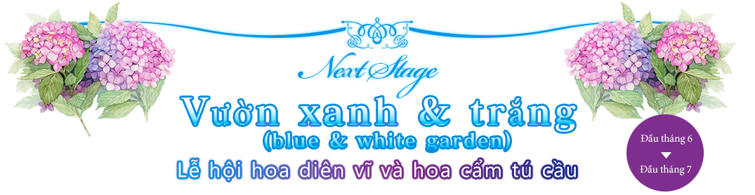 Mùa xuân này sẽ xuất hiện Rose Garden mới!