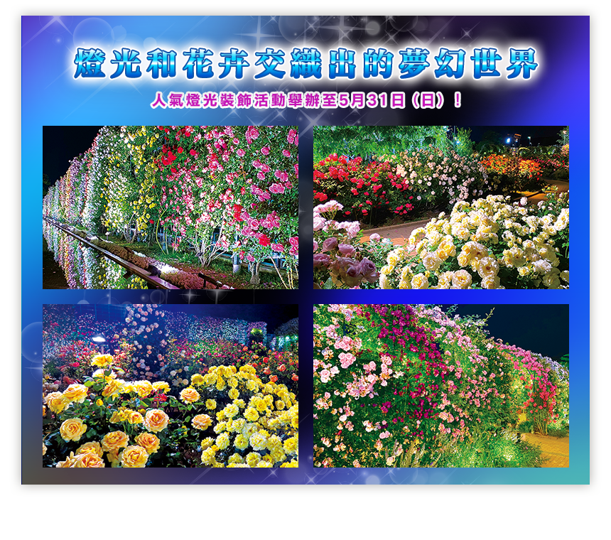 燈光和花卉交織出的夢幻世界