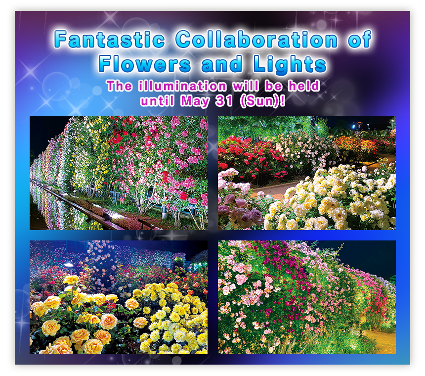 Fantastic Collaboration of Flowers and Lights