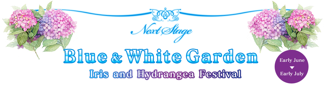 Blue & White Garden Iris and Hydrangea Festival