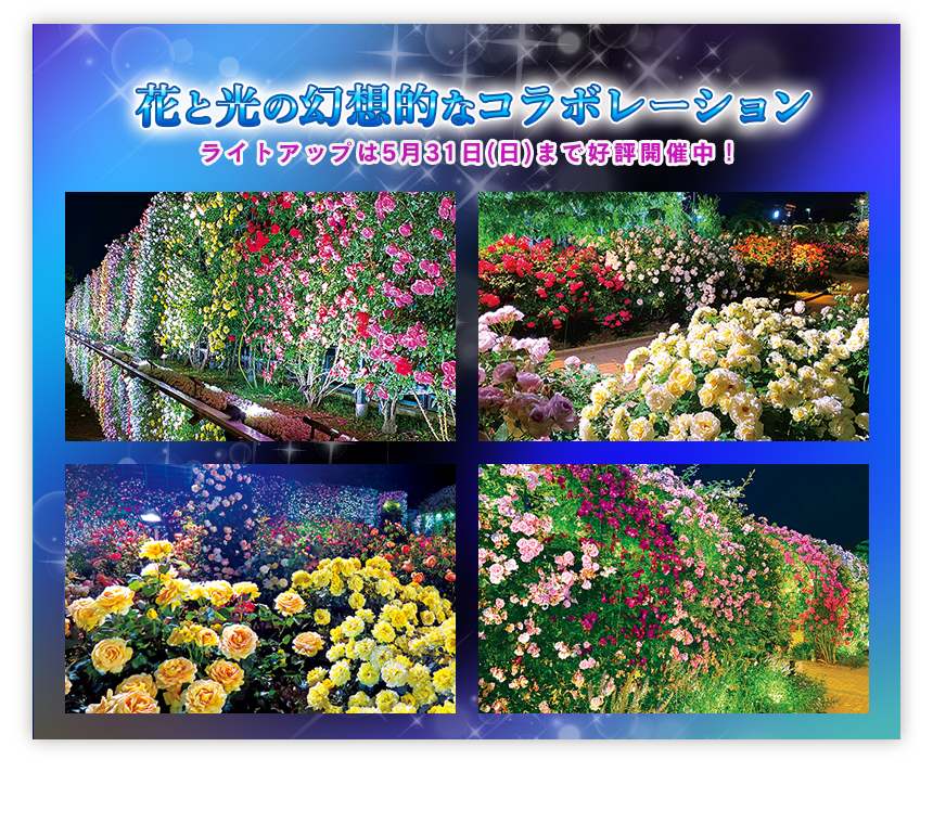 華やかなバラを中心とした虹色の世界