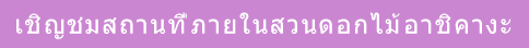 เชิญชมสถานที่ภายในสวนดอกไม้อาชิคางะ