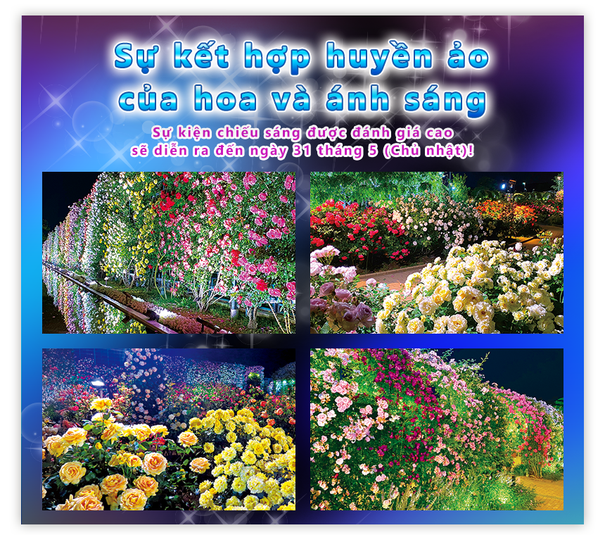Fantastic Collaboration of Flowers and Lights