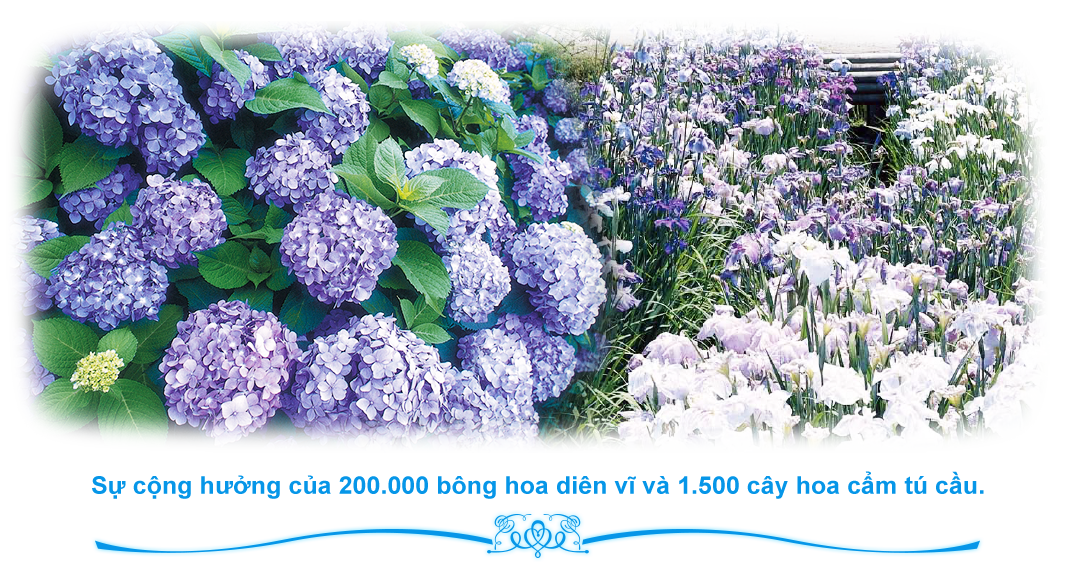 400 species 2,500 bushes of roses, colorful rhododendron and clematis
