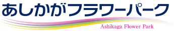 あしかがフラワーパーク