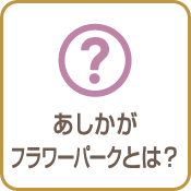 あしかがフラワーパークとは？