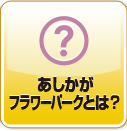 あしかがフラワーパークとは？