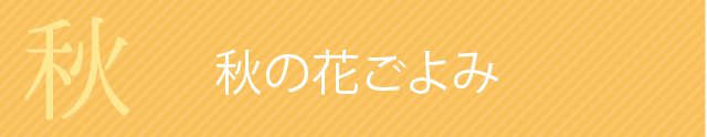 秋の花ごよみ