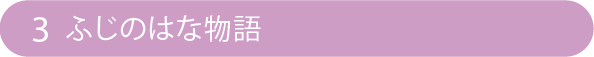 3 ふじのはな物語