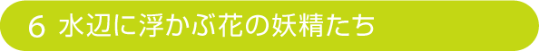 6 水に浮かぶ花の妖精たち