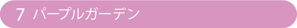 7 パープルガーデン