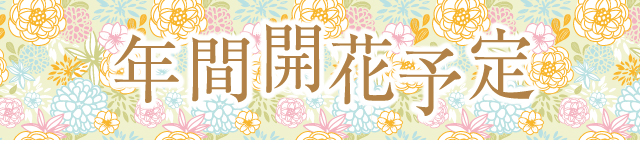 年間開花予定