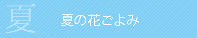 夏の花ごよみ