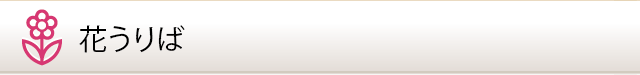 花うりば
