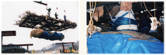 あしかがフラワーパークの歴史