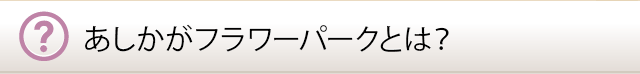 あしかがフラワーパークとは？