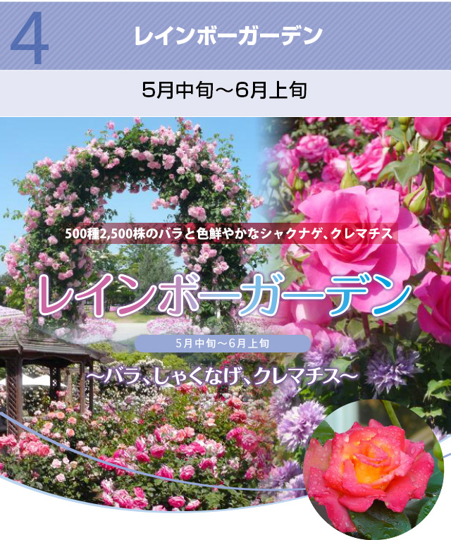 レインボーガーデン