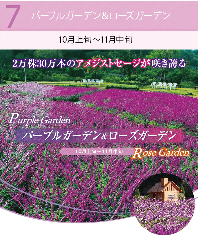 パープルガーデン＆ローズガーデン