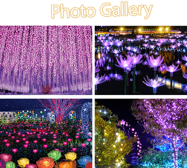 さまざまなイルミネーション