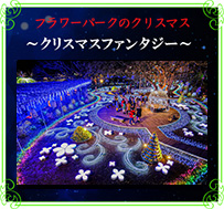 フォトコンテスト