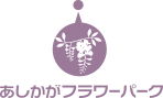 あしかがフラワーパーク