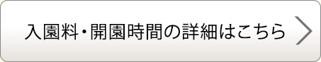 入園料・開園時間の詳細はこちら