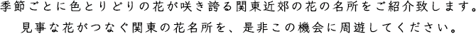 季節ごとに色とりどりの花が咲き誇る関東近郊の花の名所をご紹介致します。見事な花がつなぐ関東の花名所を、是非この機会に周遊してください。