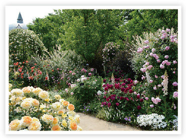 ザ・トレジャーガーデン館林