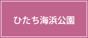 ひたち海浜公園