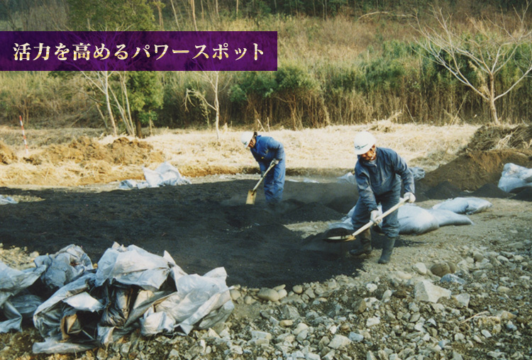 1996年1月　移植先の土壌改良作業