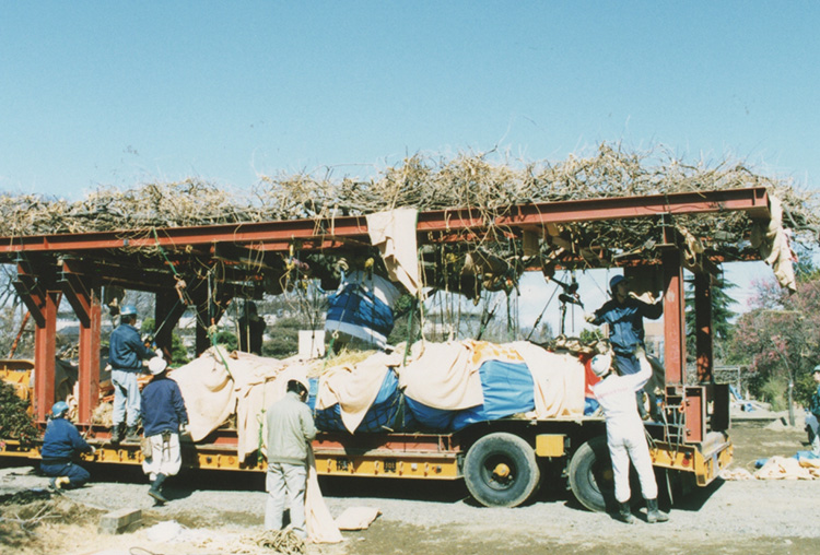 1996年2月　運搬用トレーラに載せられる。