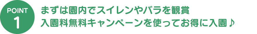 まずは園内でスイレンやバラを観賞入園料無料キャンペーンを使ってお得に入園♪