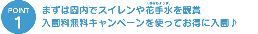 まずは園内でスイレンや花手水を観賞入園料無料キャンペーンを使ってお得に入園♪