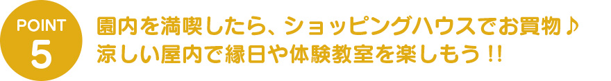園内を満喫したら、ショッピングハウスでお買物♪ 縁日や体験教室も楽しもう!!