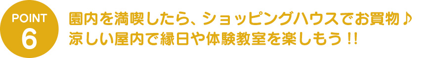 園内を満喫したら、ショッピングハウスでお買物♪ 縁日や体験教室も楽しもう!!